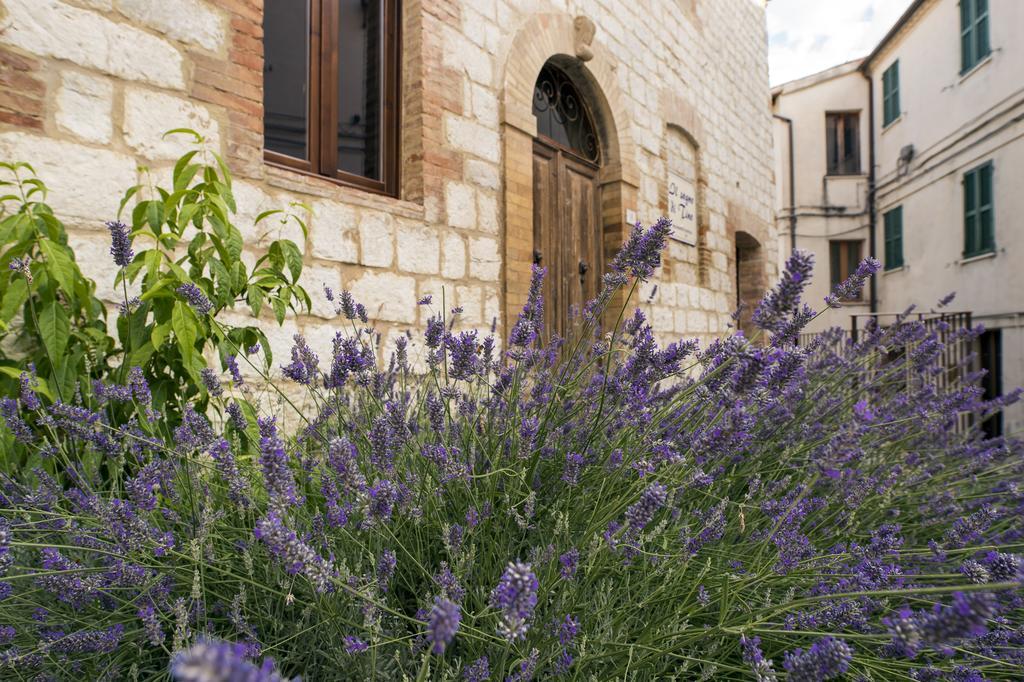 Villa Il Sogno Di Tino à Cabernardi Extérieur photo